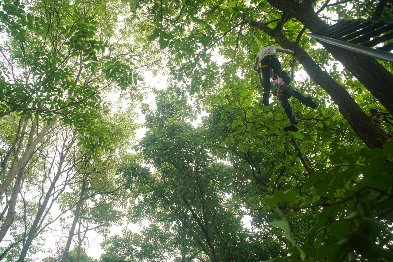 Nature Trails Sajan, Vikramgad Kudān Exteriör bild